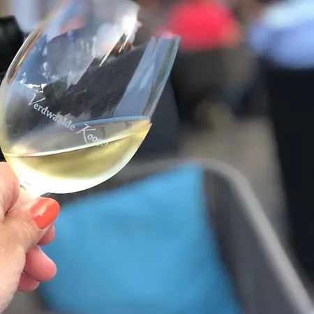 In Den Verdwaalde Koogel