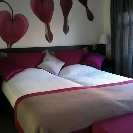 In Den Verdwaalde Koogel Hotel 3*