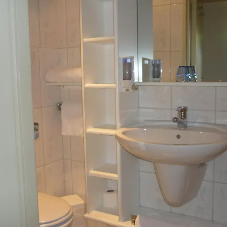 In Den Verdwaalde Koogel Otel 3*
