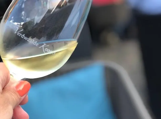 沃德瓦德库戈尔酒店